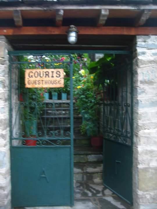 Guesthouse Gouris 체펠로보 외부 사진